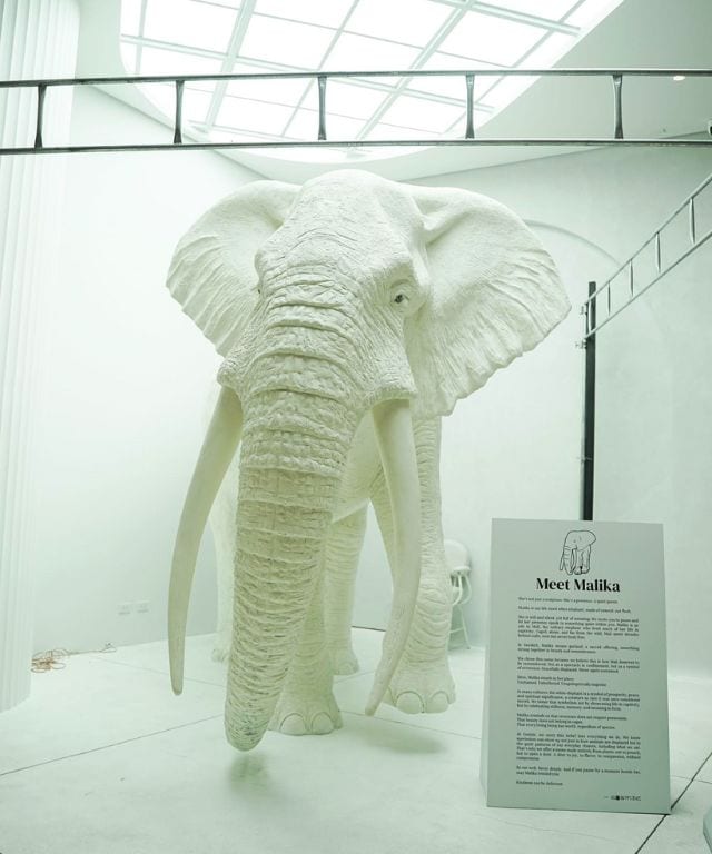 Malika sculpture at Cosmic Molito