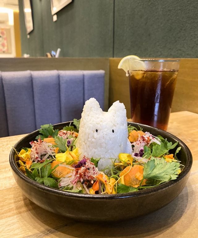 kodawari cutie curry