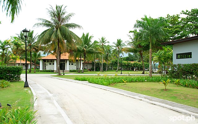 The buildings at Dusit Thani Lubi Plantation Resort are always lower than the treeline.