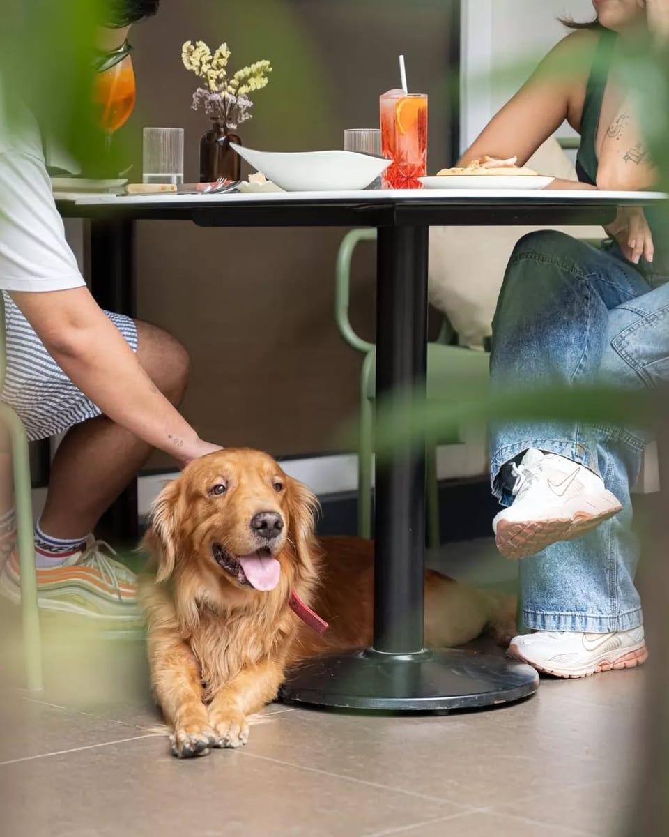 fresca trattoria makati table with pets