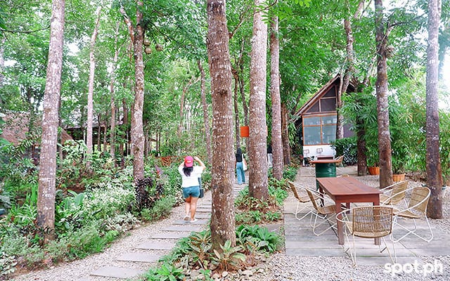 The Farm at Guinciaman