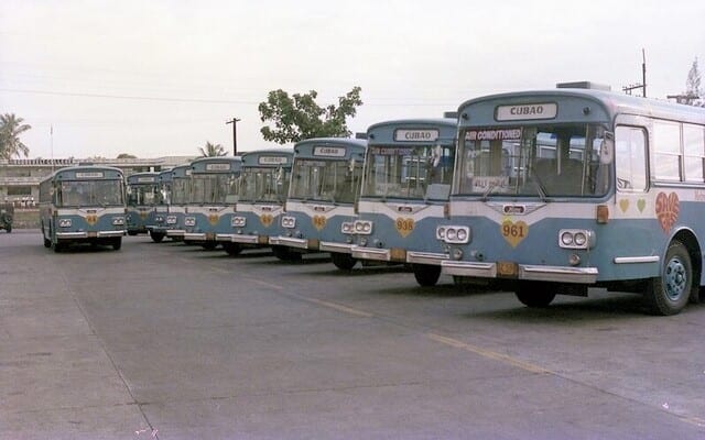 love bus