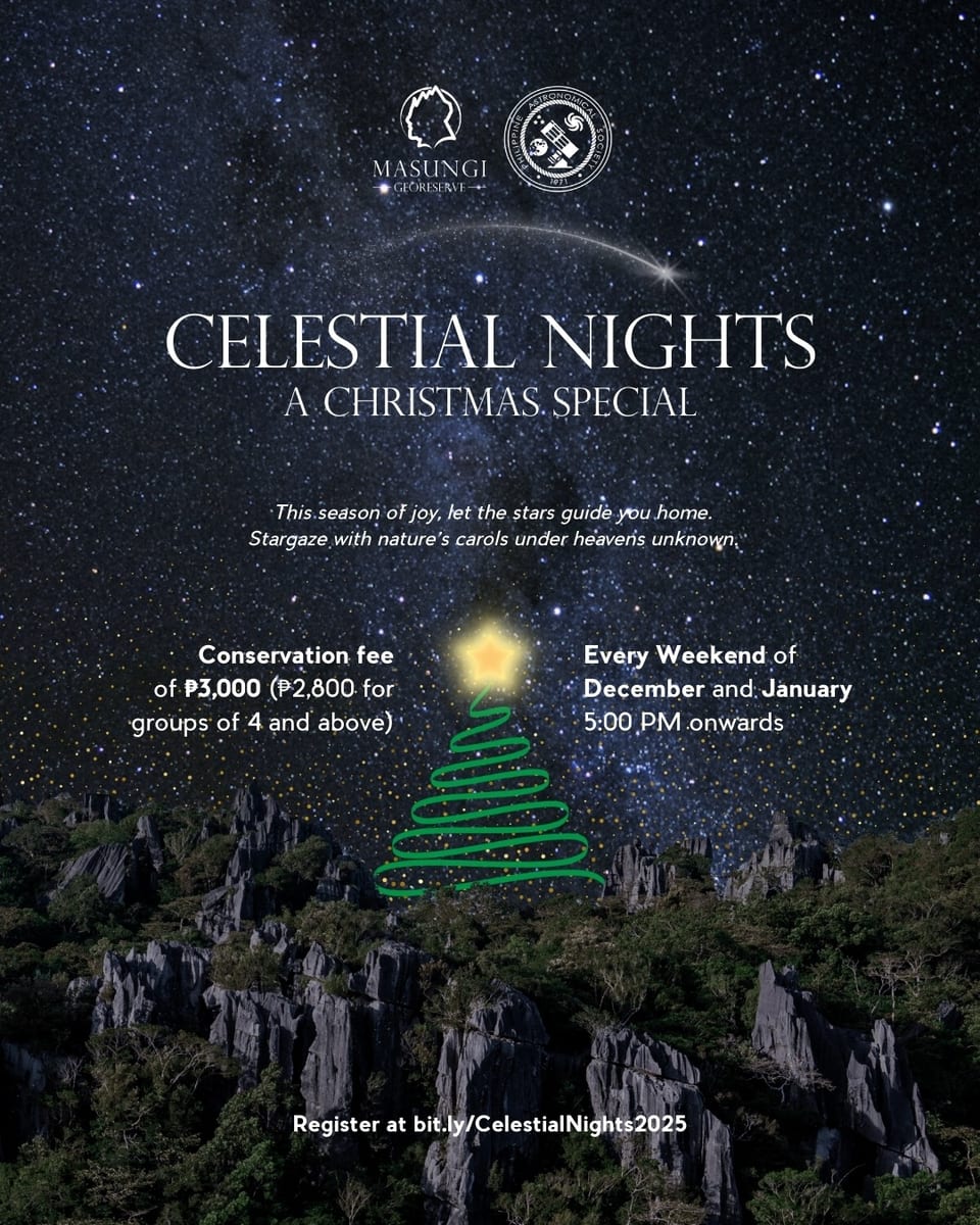 Celestial Nights poster