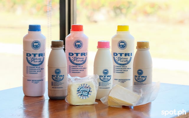 DTRI dairy products