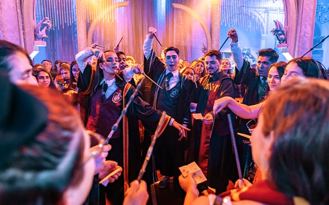 Harry Potter Yule Ball Celebration