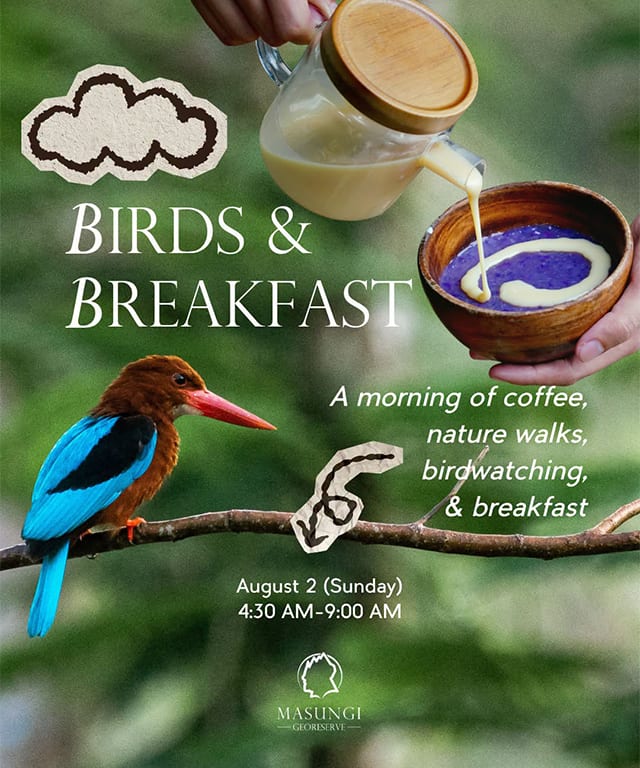 Wake up early and get to know the avian residents of Masungi Georeserve at Birds & Breakfast