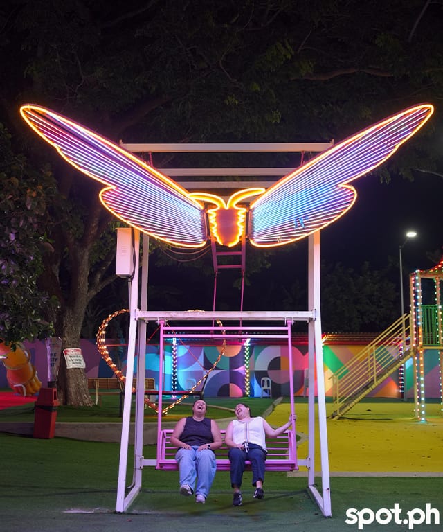 Butterfly swings