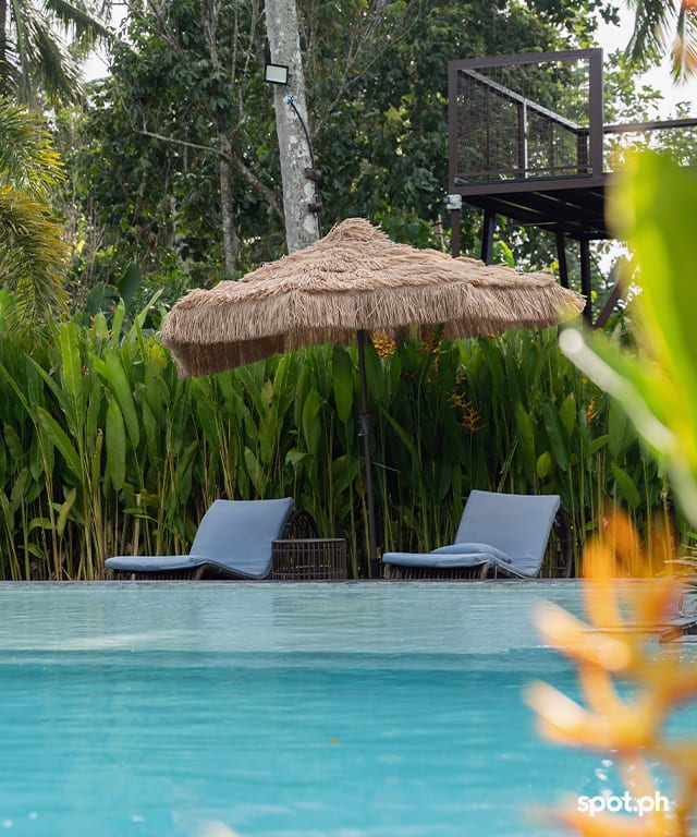 Pool at the bali farm